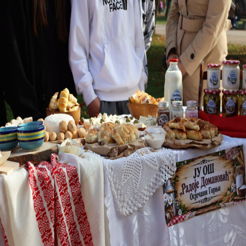 skolski-gastrofest-Doboj 15